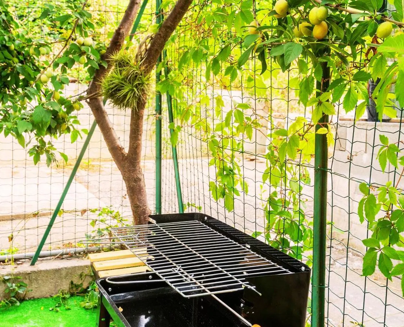 דירות סנרמו Spiagge-Ciclabile Parcheggio E Giardino Privato